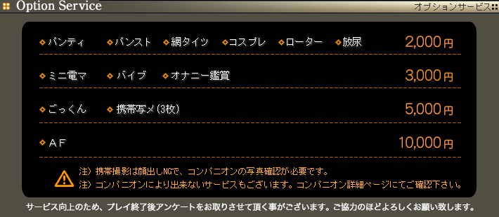 オプション